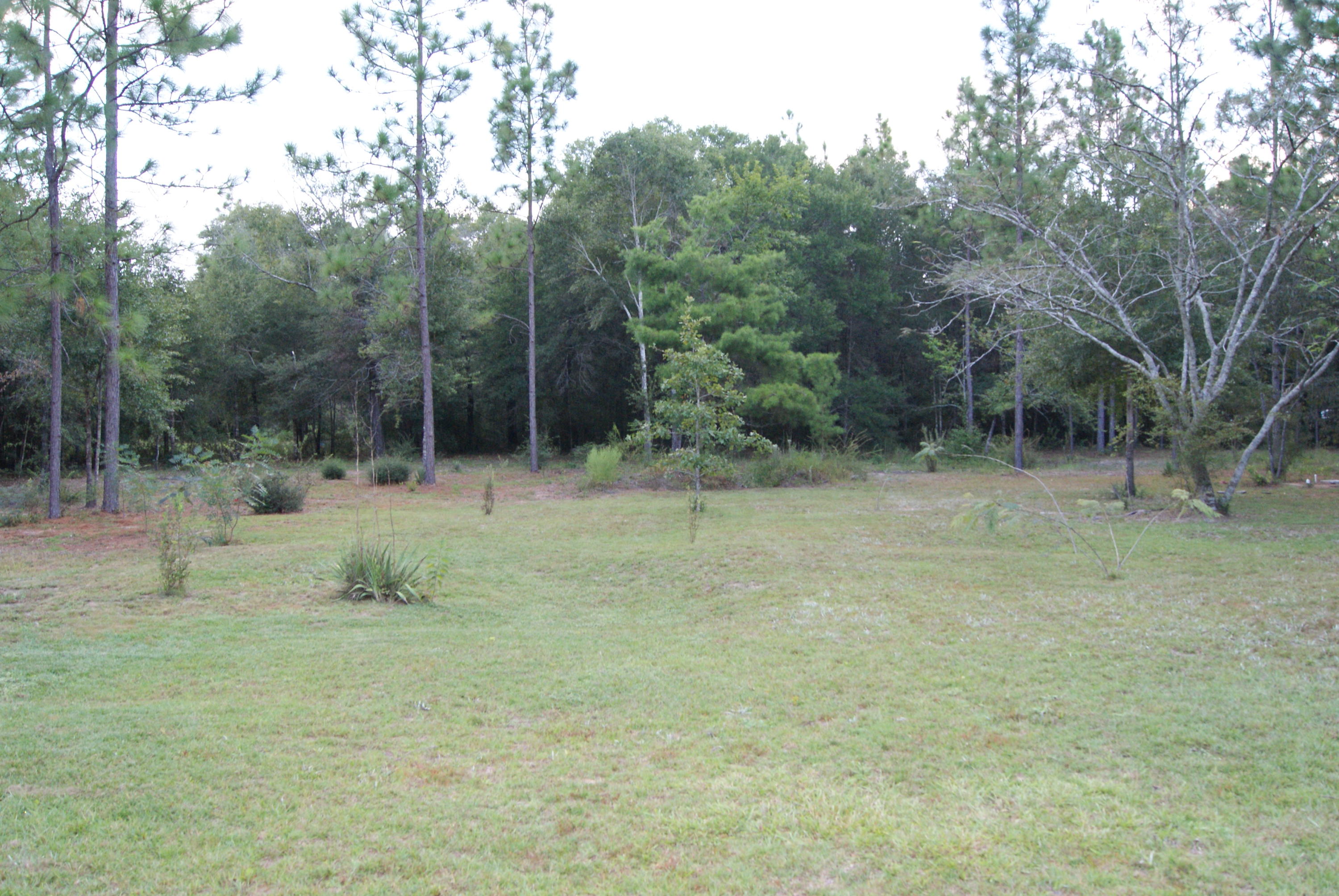 1137 Country Living Road Baker, FL 32531 - Photo 27 of 29 a backyard of a house with lots of green space