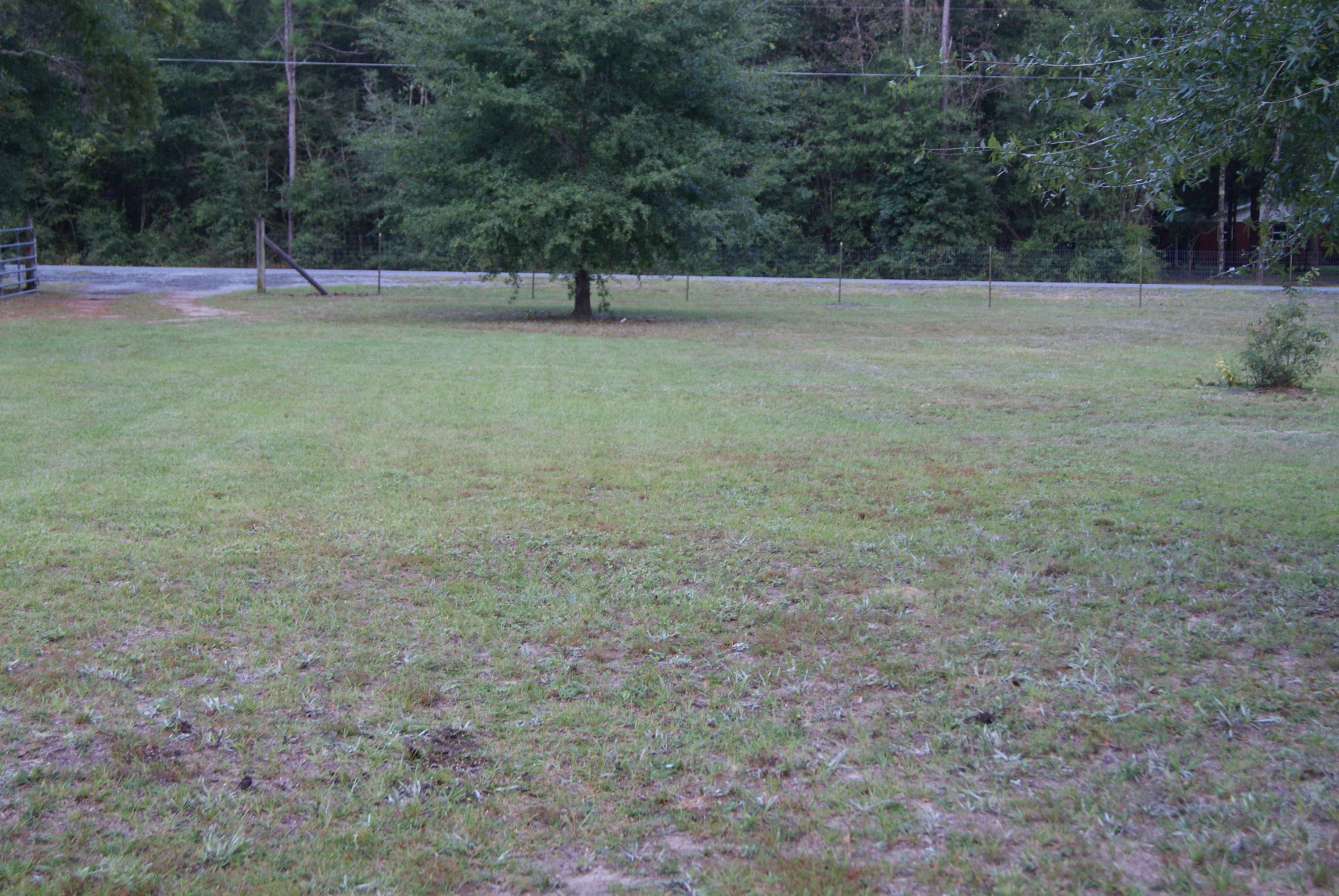 1137 Country Living Road Baker, FL 32531 - Photo 28 of 29 a view of a field