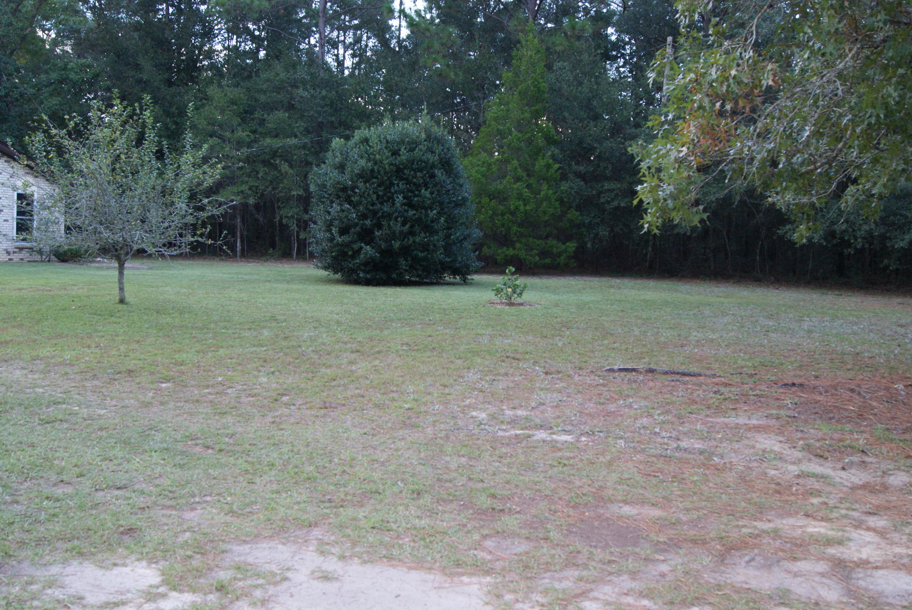 1137 Country Living Road Baker, FL 32531 - Photo 29 of 29 a view of outdoor space with deck and yard
