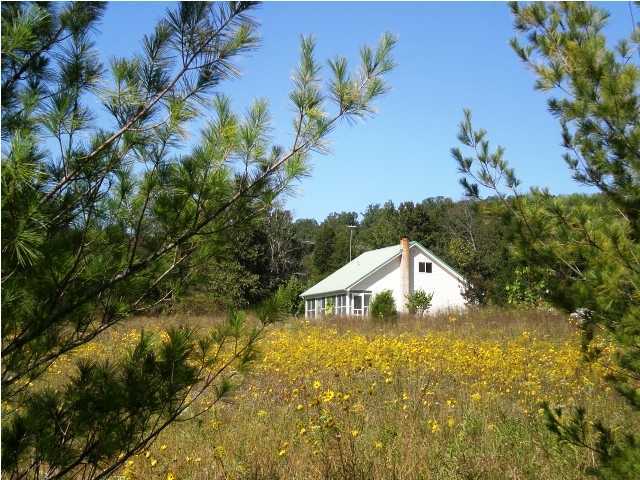 17901 North No Pone Valley Road Decatur, TN 37322 - Photo 1 of 24 Primary Photo