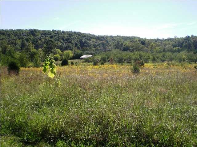 17901 North No Pone Valley Road Decatur, TN 37322 - Photo 24 of 24 Additional Photo