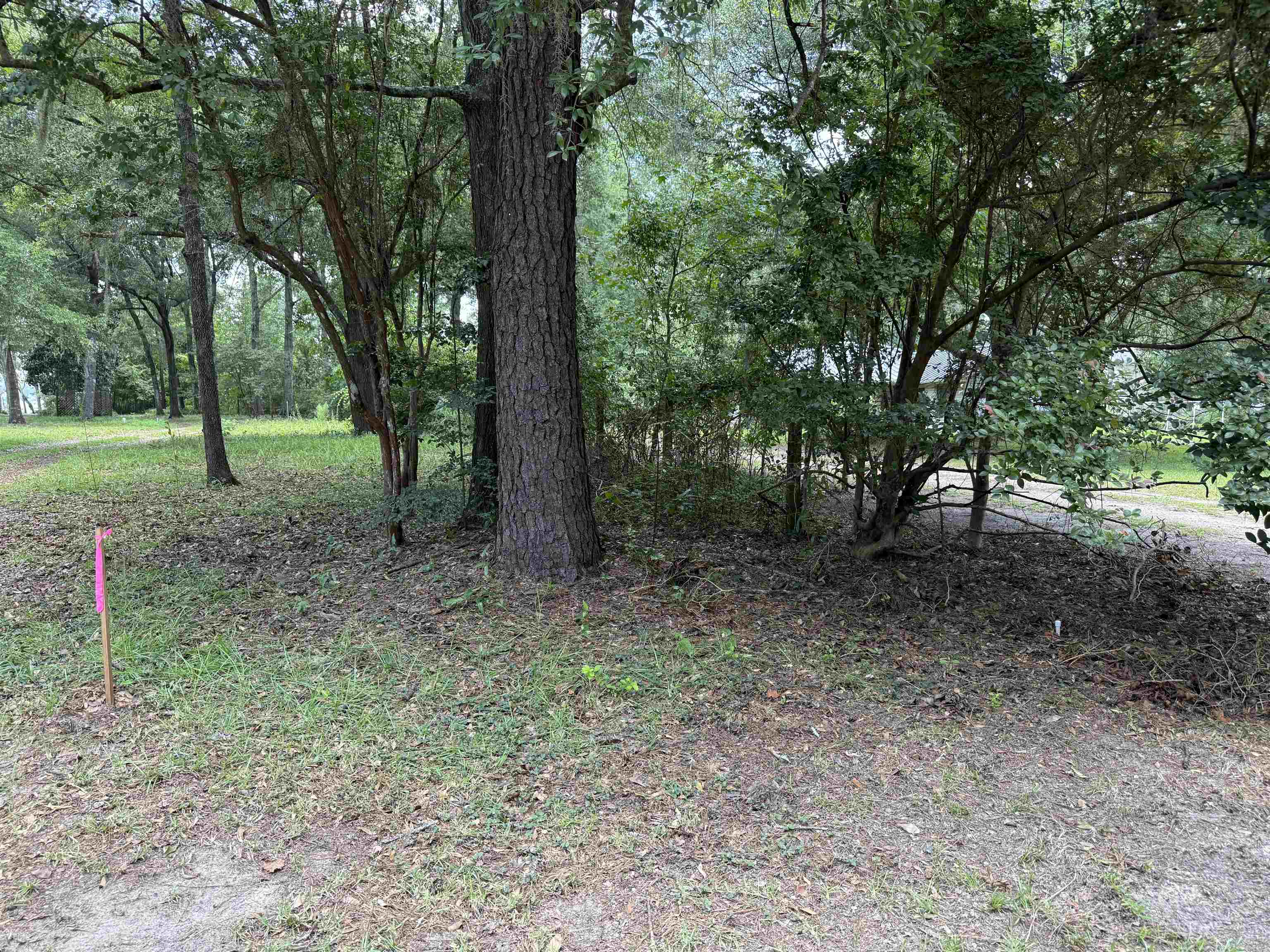 Parramore Shores Road Tallahassee, FL 32310 - Photo 25 of 31