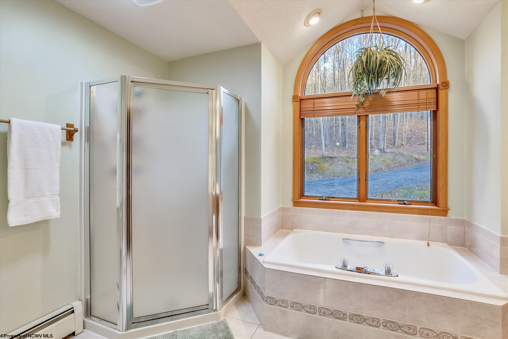 603 Ridge Road Davis, WV 26260 - Photo 18 of 46 Gallery Image 18