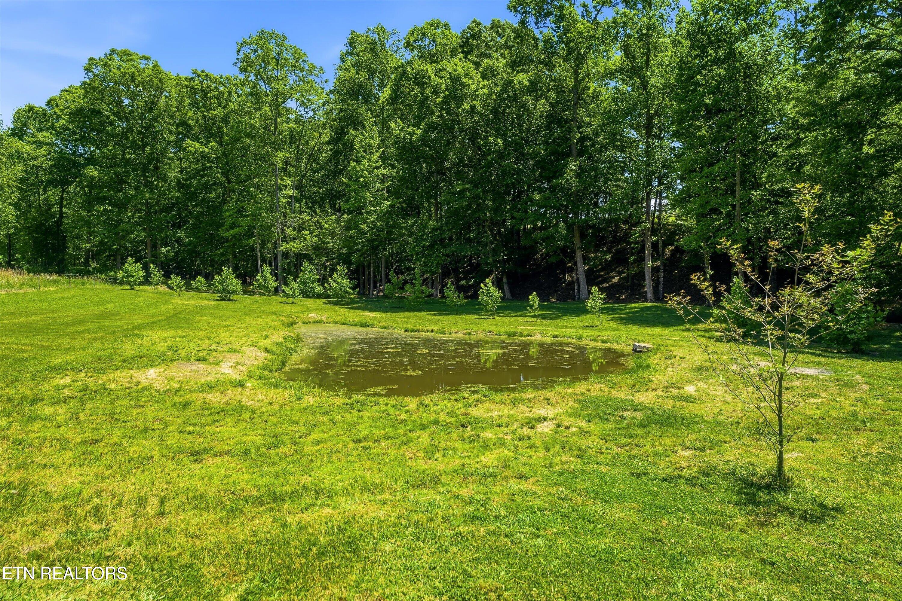 362 County Road 189 Decatur, TN 37322 - Photo 22 of 27 31-362 Co Rd 189-31