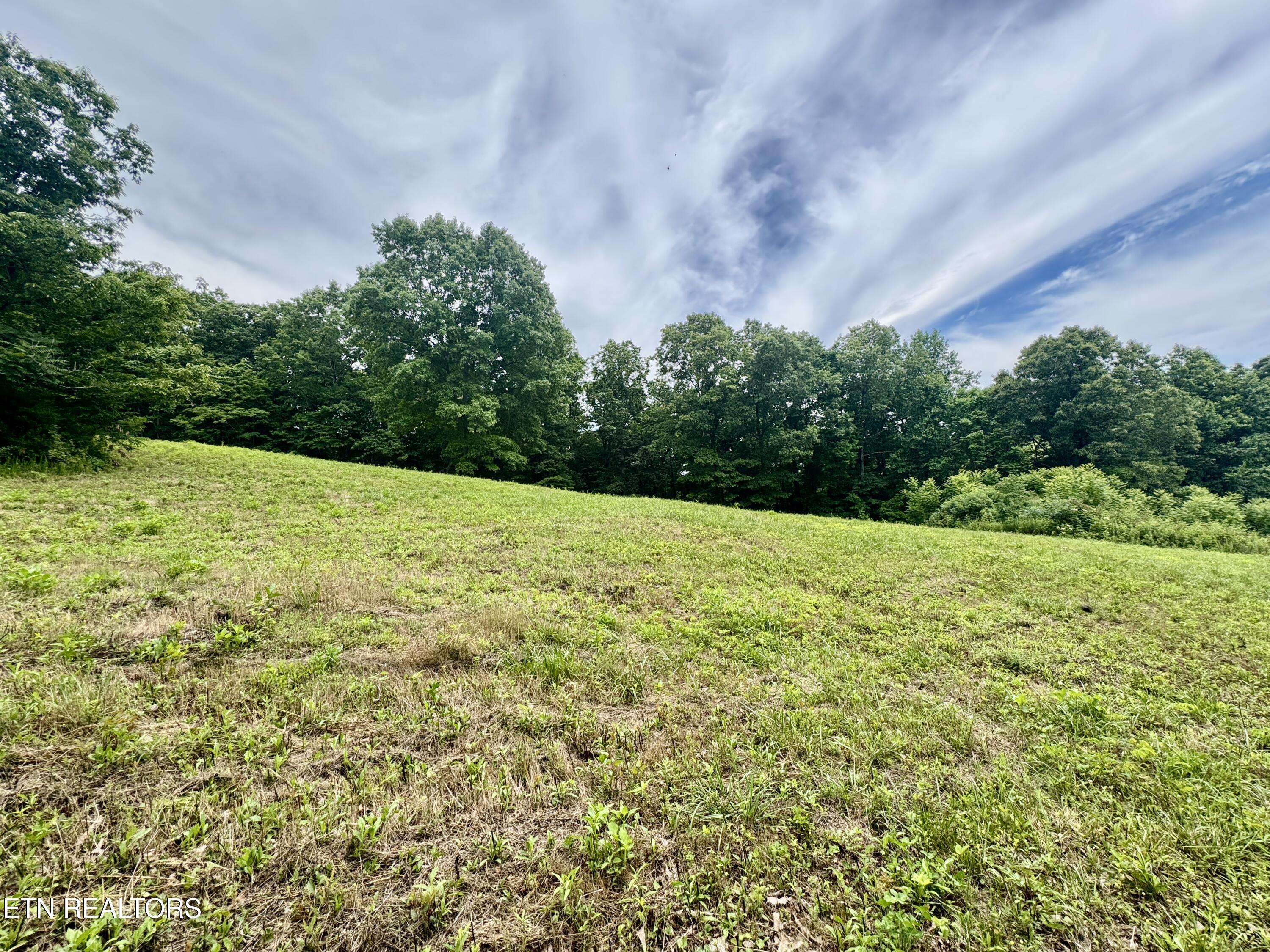 378 Johnson Hollow Road New Tazewell, TN 37825 - Photo 13 of 35 1-13