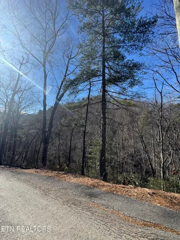 $64,900 | 15 Blossom Hollow Way, Sevierville, TN 37876