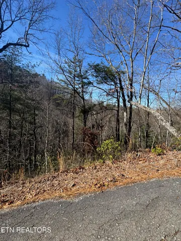 $64,900 | 15 Blossom Hollow Way, Sevierville, TN 37876