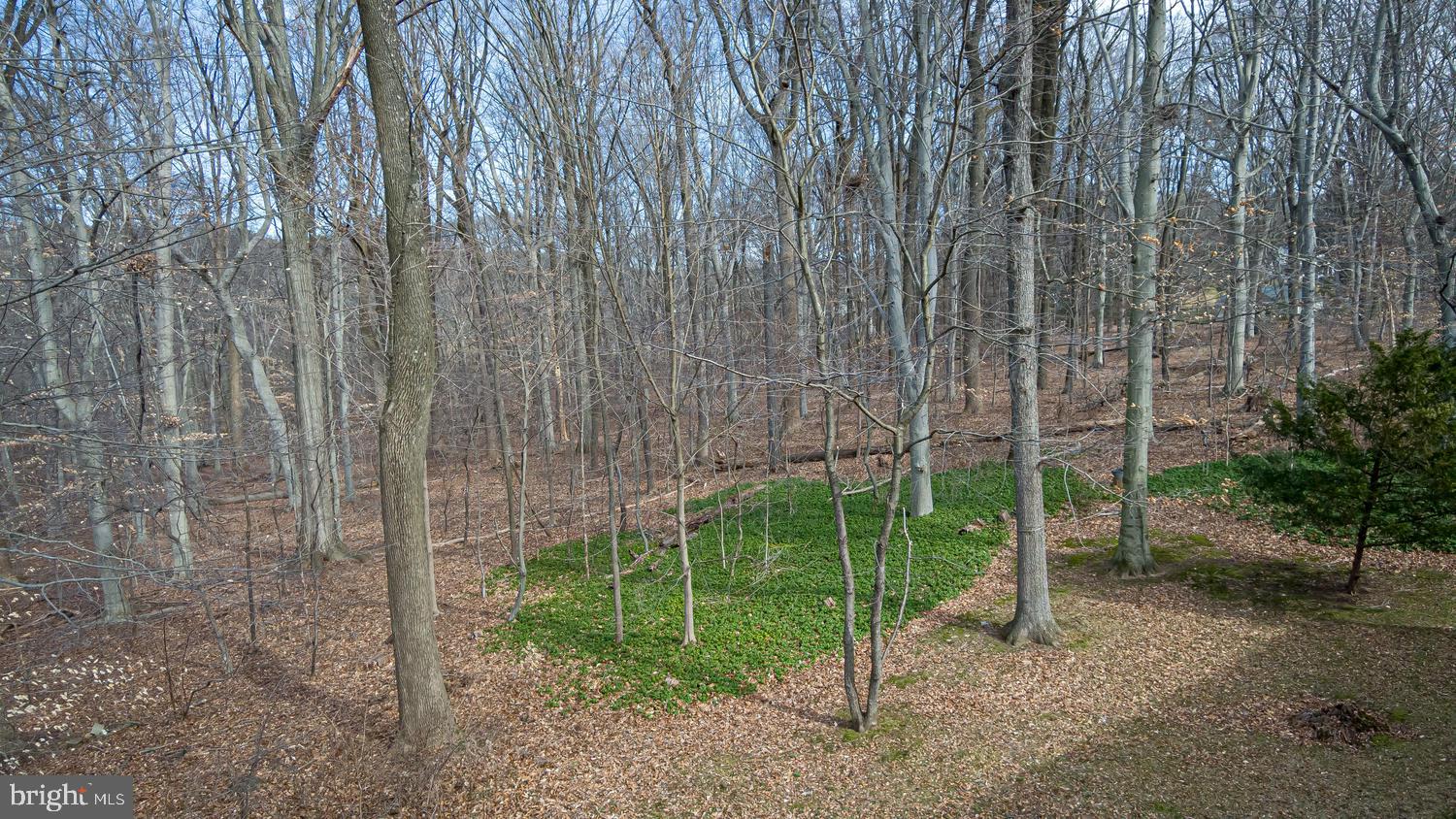 18 9 Gates Road Chadds Ford, PA 19317 - Photo 44 of 45 Gallery Image 44