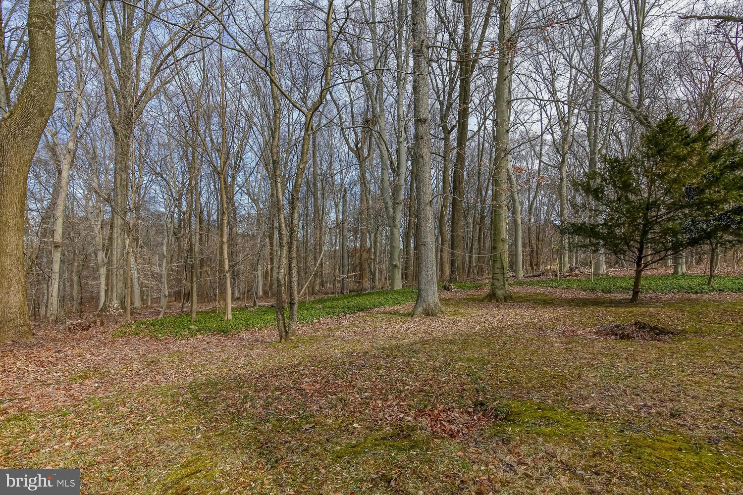 18 9 Gates Road Chadds Ford, PA 19317 - Photo 45 of 45 Gallery Image 45