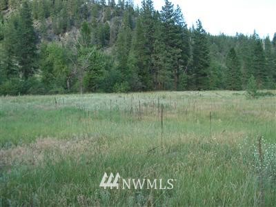 1 West Kettle River Road Curlew, WA 99118 - Photo 1 of 1 Gallery Image 1