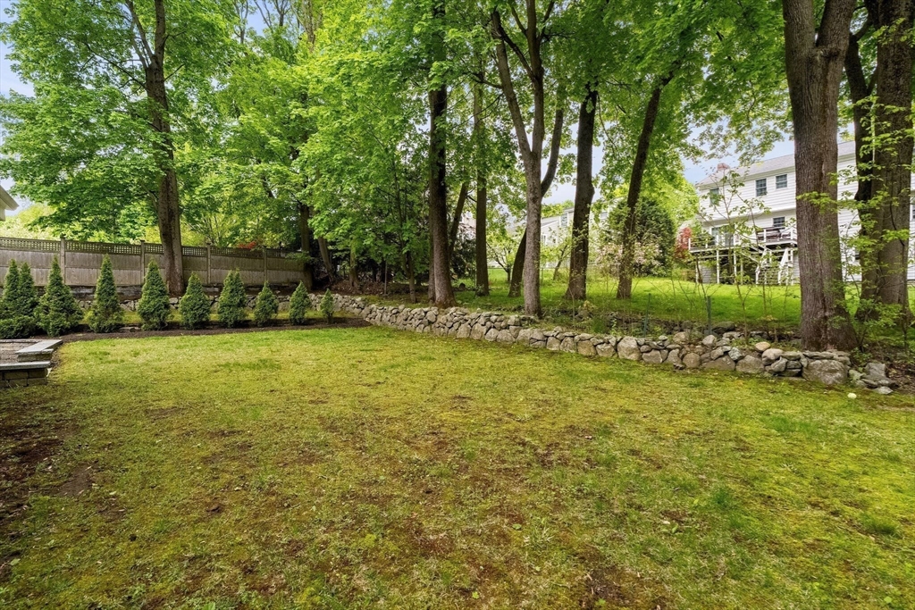 165 Park Avenue, Unit 165 Arlington, MA 02476 - Photo 29 of 32