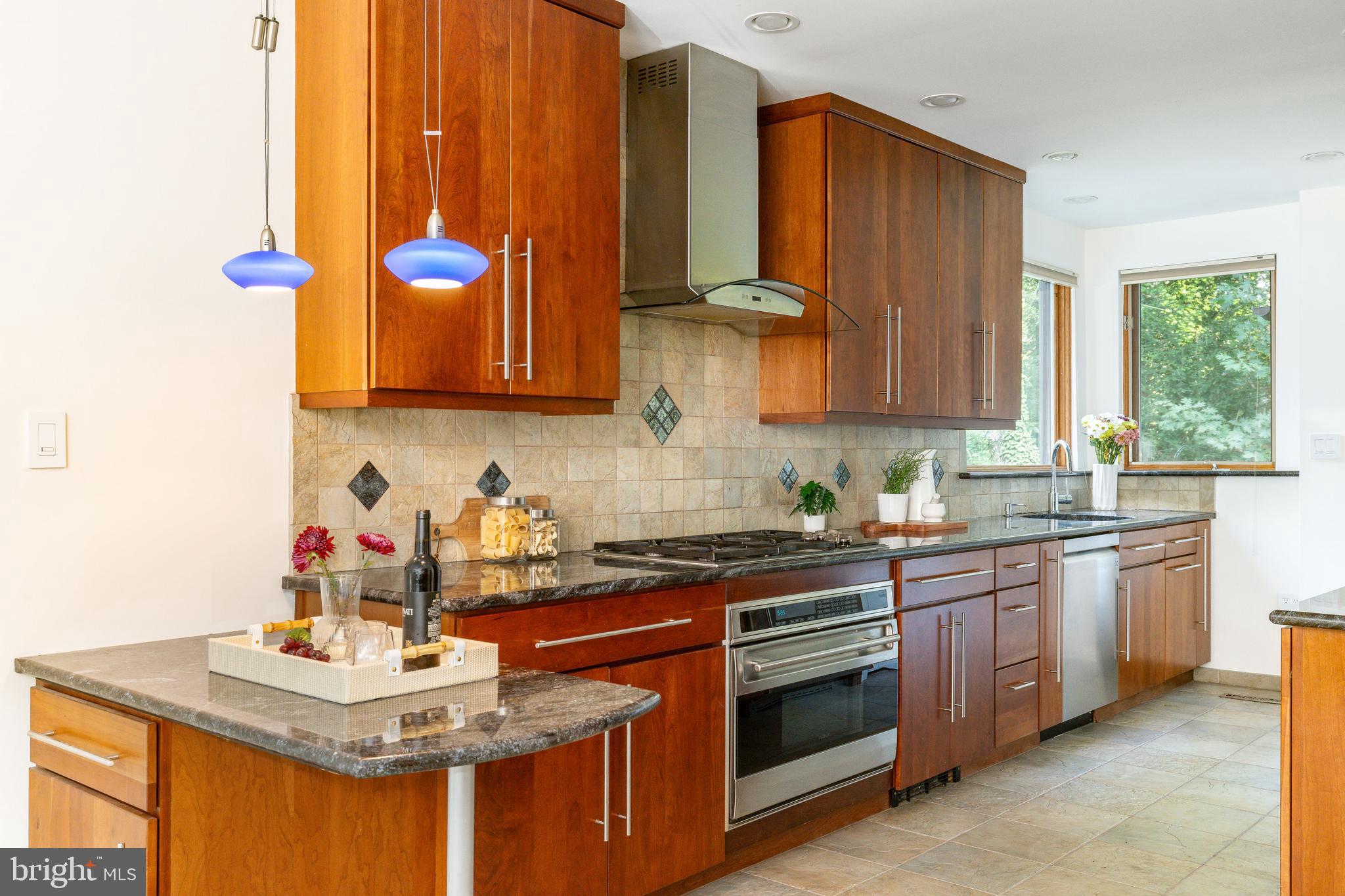 1419 County Line Road Bryn Mawr, PA 19010 - Photo 27 of 65 a kitchen with stainless steel appliances granite countertop a sink dishwasher stove and cabinets