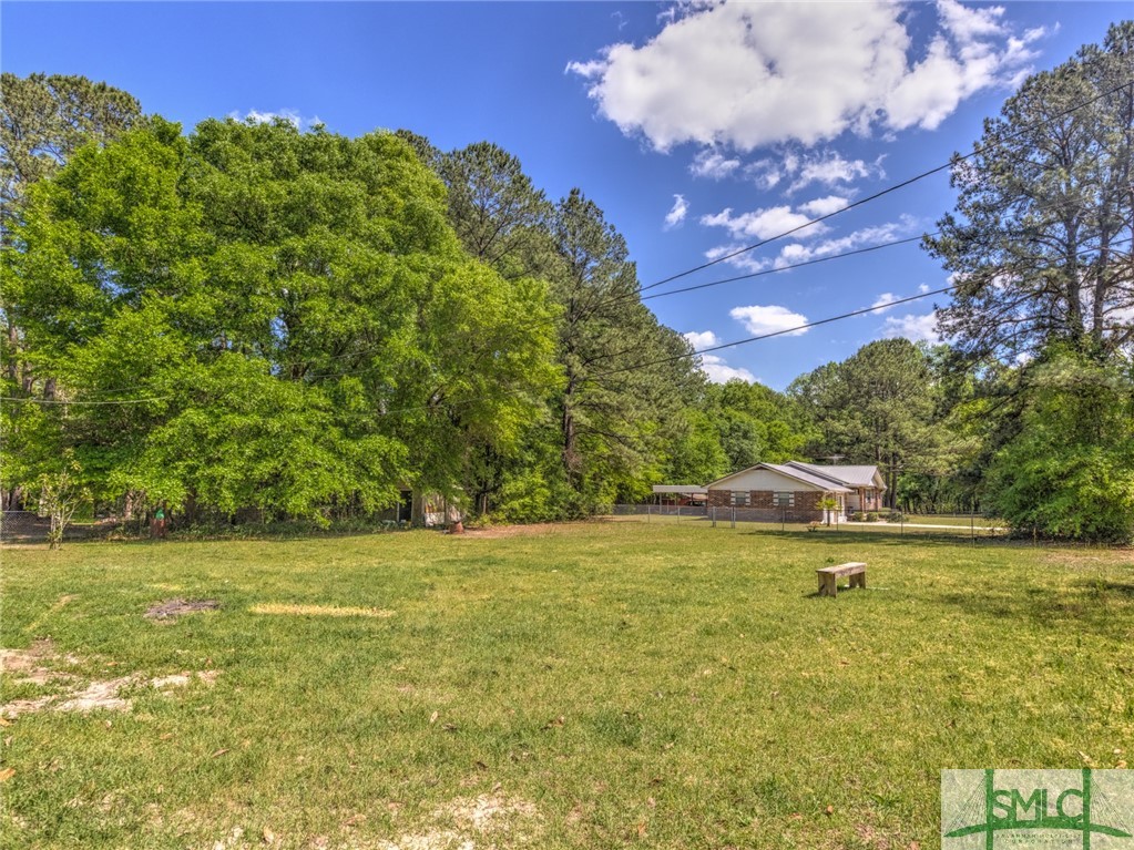 207 Tunnel Road Springfield, GA 31329 - Photo 4 of 19 Backyard
