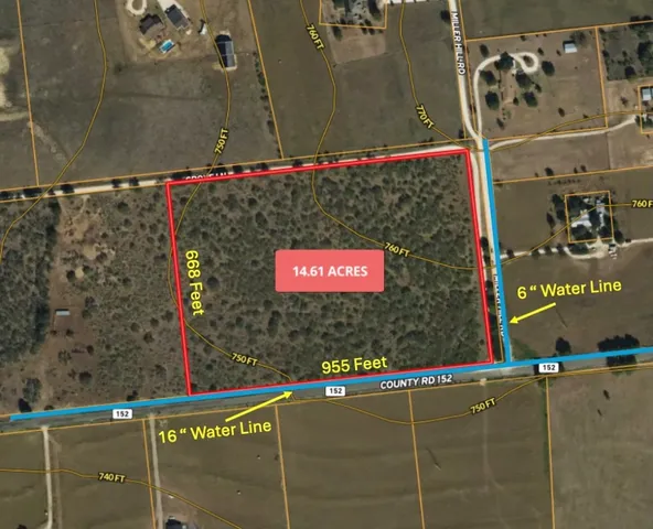 a view of a tree in a yard