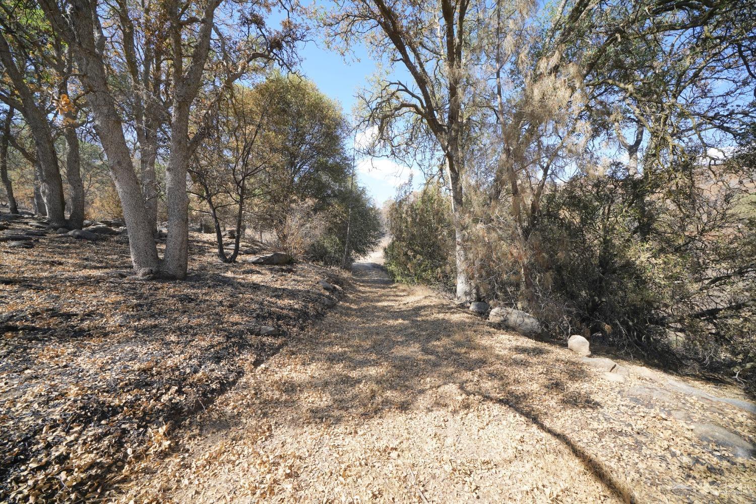500 Foxtail Canyon Road Caliente, CA 93518 - Photo 11 of 22 Gallery Image 11