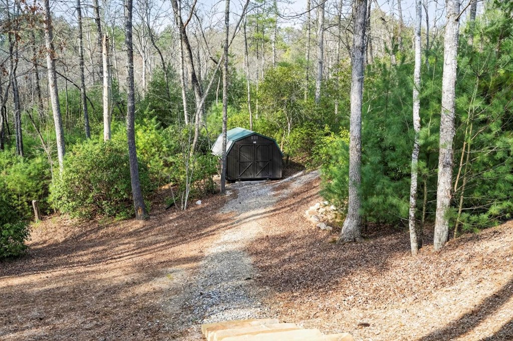 327 Hooch Holler Lane Morganton, GA 30560 - Photo 58 of 63