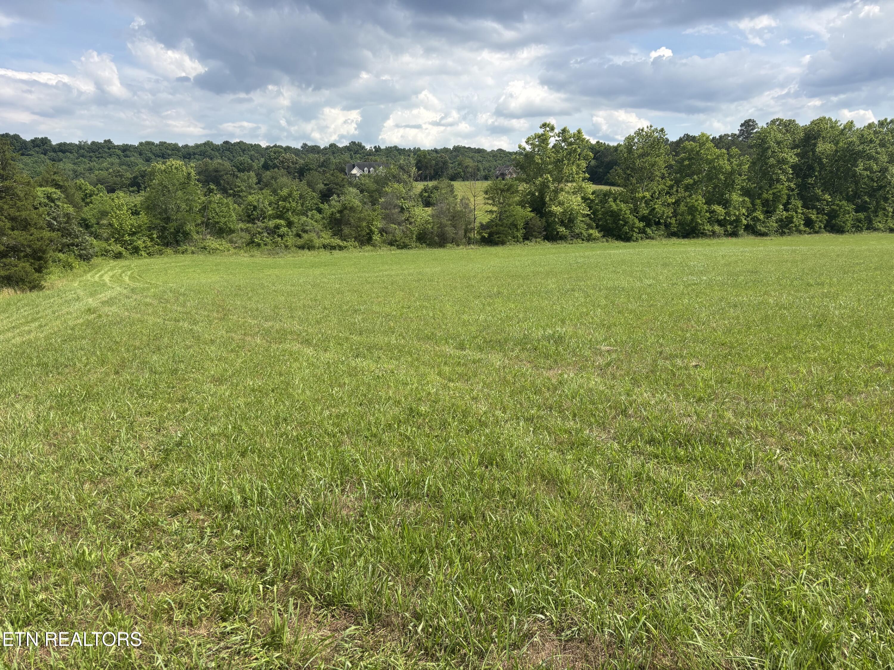 1040 Smith Valley Road Lenoir City, TN 37772 - Photo 3 of 8 IMG_6267