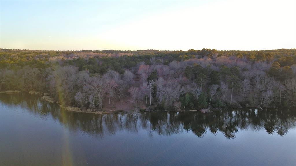 3266 Shadow Pine Drive Larue, TX 75770 - Photo 11 of 14