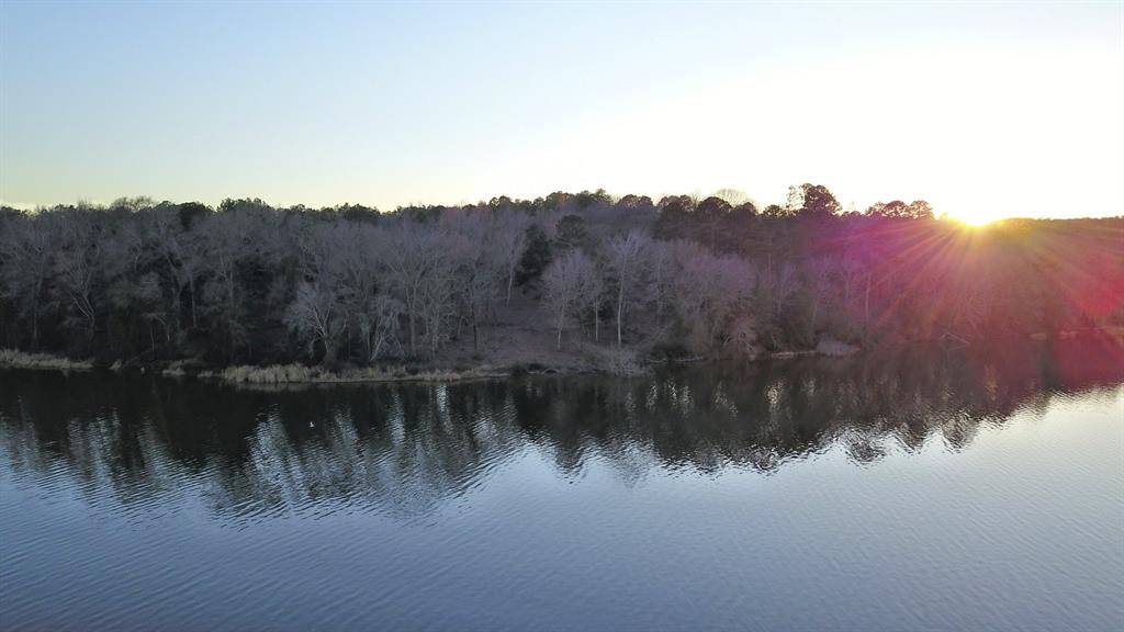 3266 Shadow Pine Drive Larue, TX 75770 - Photo 12 of 14