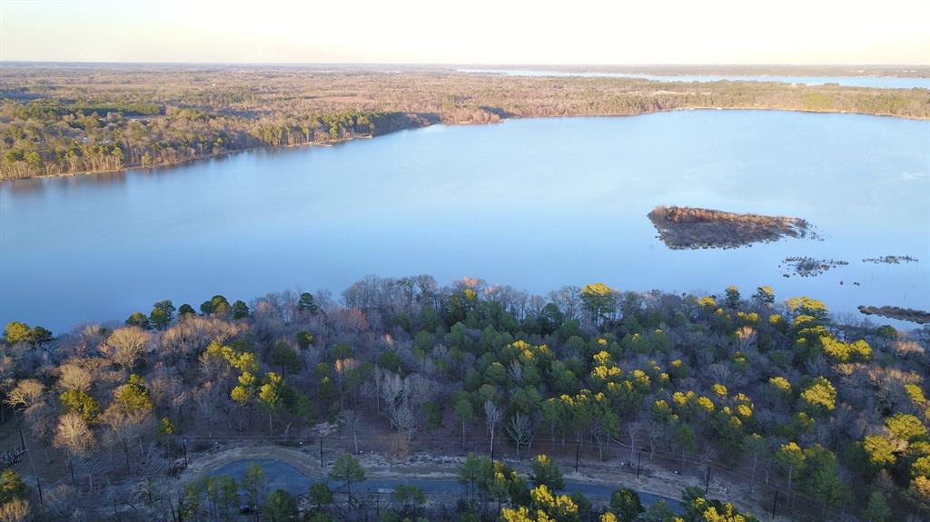 3266 Shadow Pine Drive Larue, TX 75770 - Photo 13 of 14