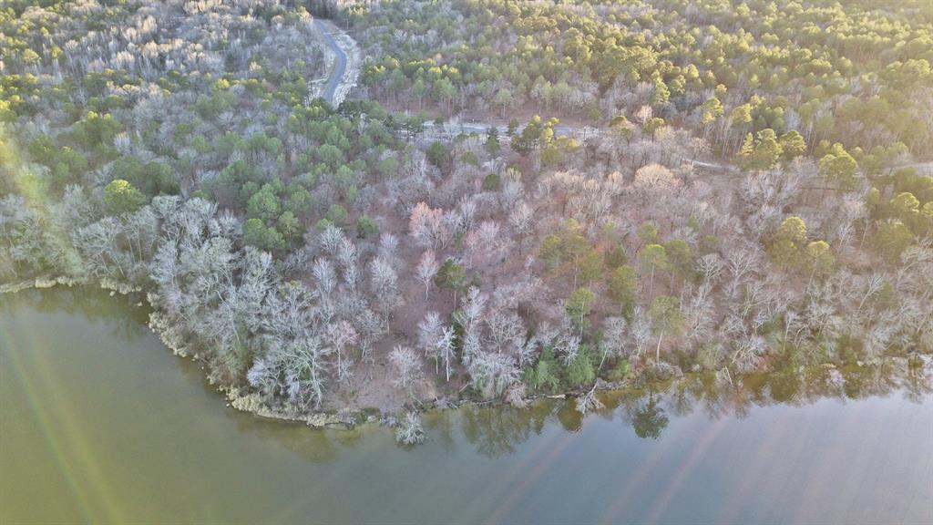 3266 Shadow Pine Drive Larue, TX 75770 - Photo 14 of 14