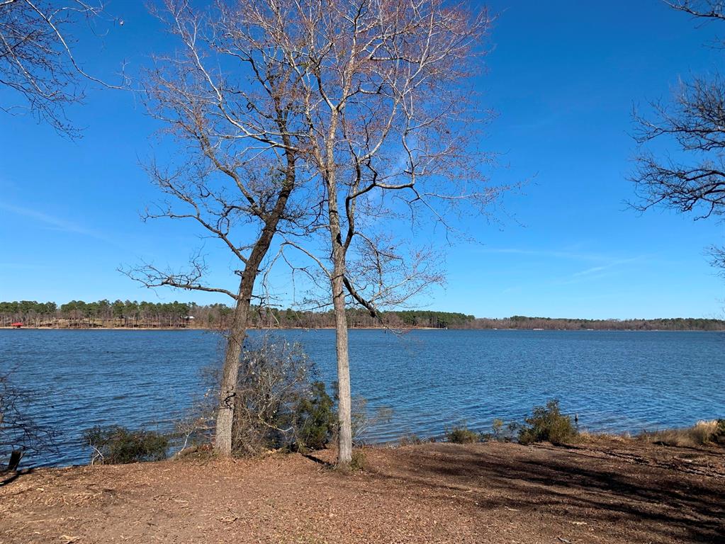3266 Shadow Pine Drive Larue, TX 75770 - Photo 3 of 14