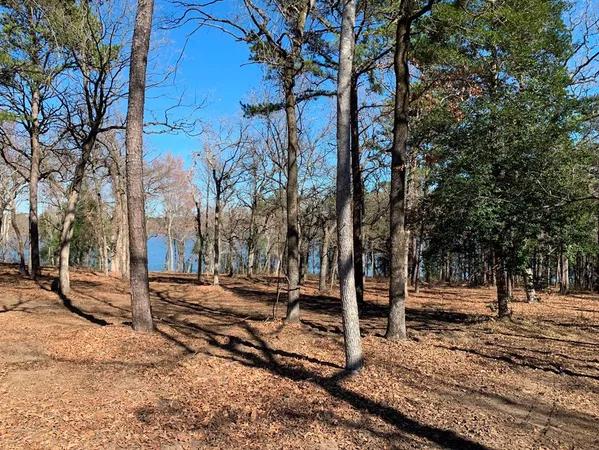 $229,900 | 3266 Shadow Pine Drive, Larue, TX 75770