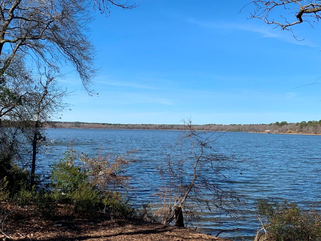 3266 Shadow Pine Drive Larue, TX 75770 - Photo 6 of 14