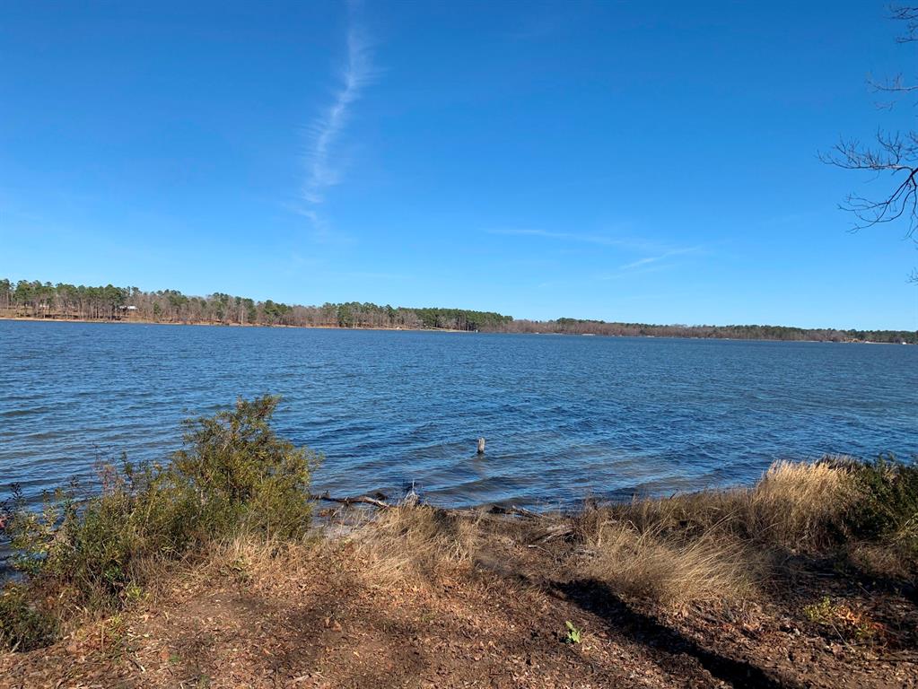 3266 Shadow Pine Drive Larue, TX 75770 - Photo 7 of 14