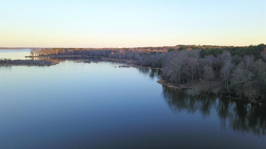 3266 Shadow Pine Drive Larue, TX 75770 - Photo 9 of 14