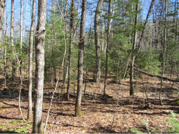 0 Jenkins Road Stark, NH 03582 - Photo 1 of 1