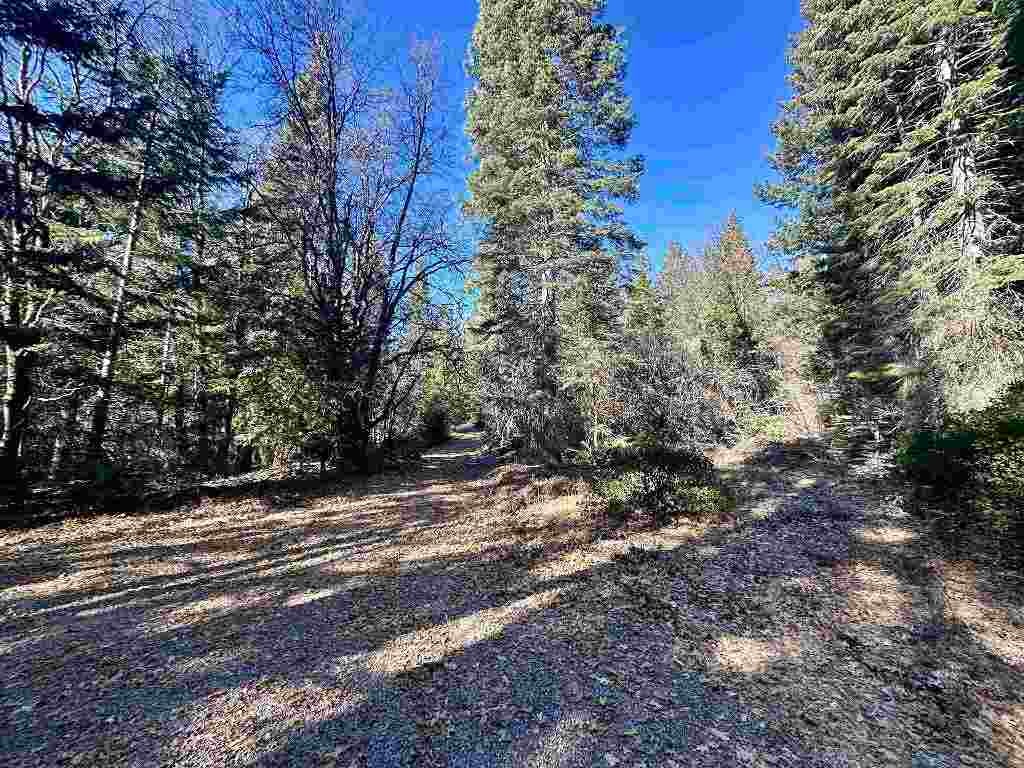 3 Deetz Road Rd Mount Mount Shasta, CA 96067 - Photo 31 of 37 Gallery Image 31