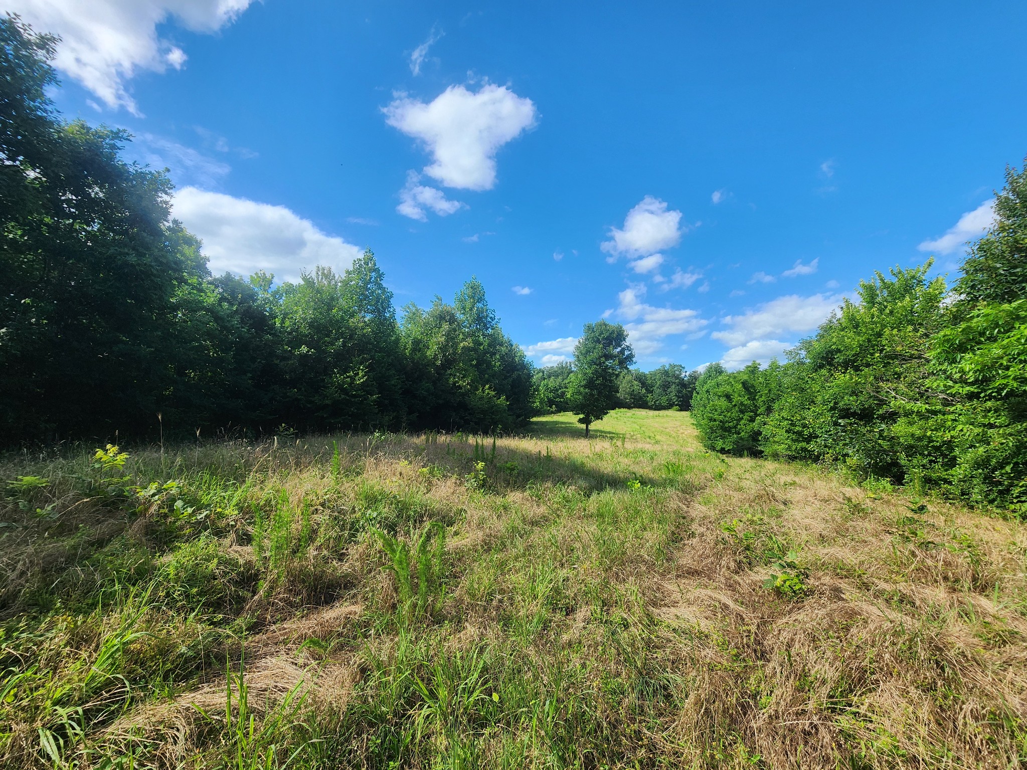 0 Sinking Creek Road Linden, TN 37096 - Photo 19 of 23