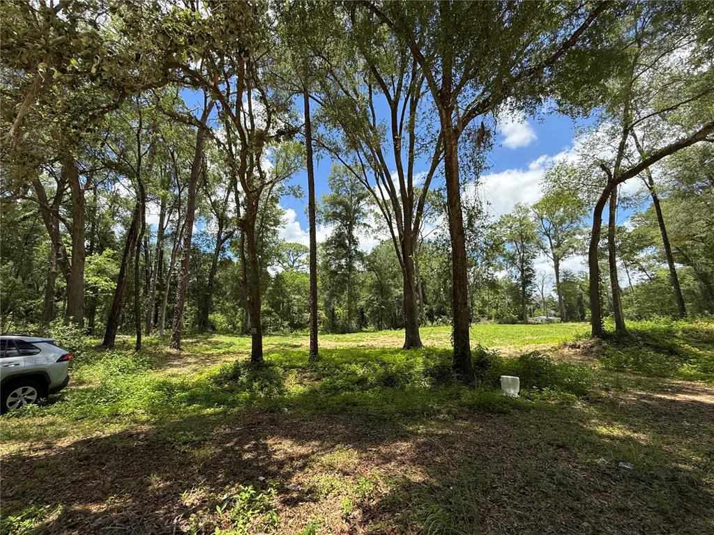 Southwest 53rd Place Ocala, FL 34481 - Photo 7 of 13