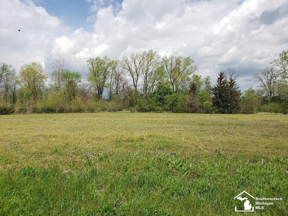 Dixon Road Monroe, MI 48161 - Photo 2 of 4