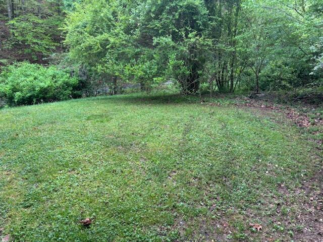 993 Lick Branch Road Carrie, KY 41725 - Photo 18 of 18 spacious side yard