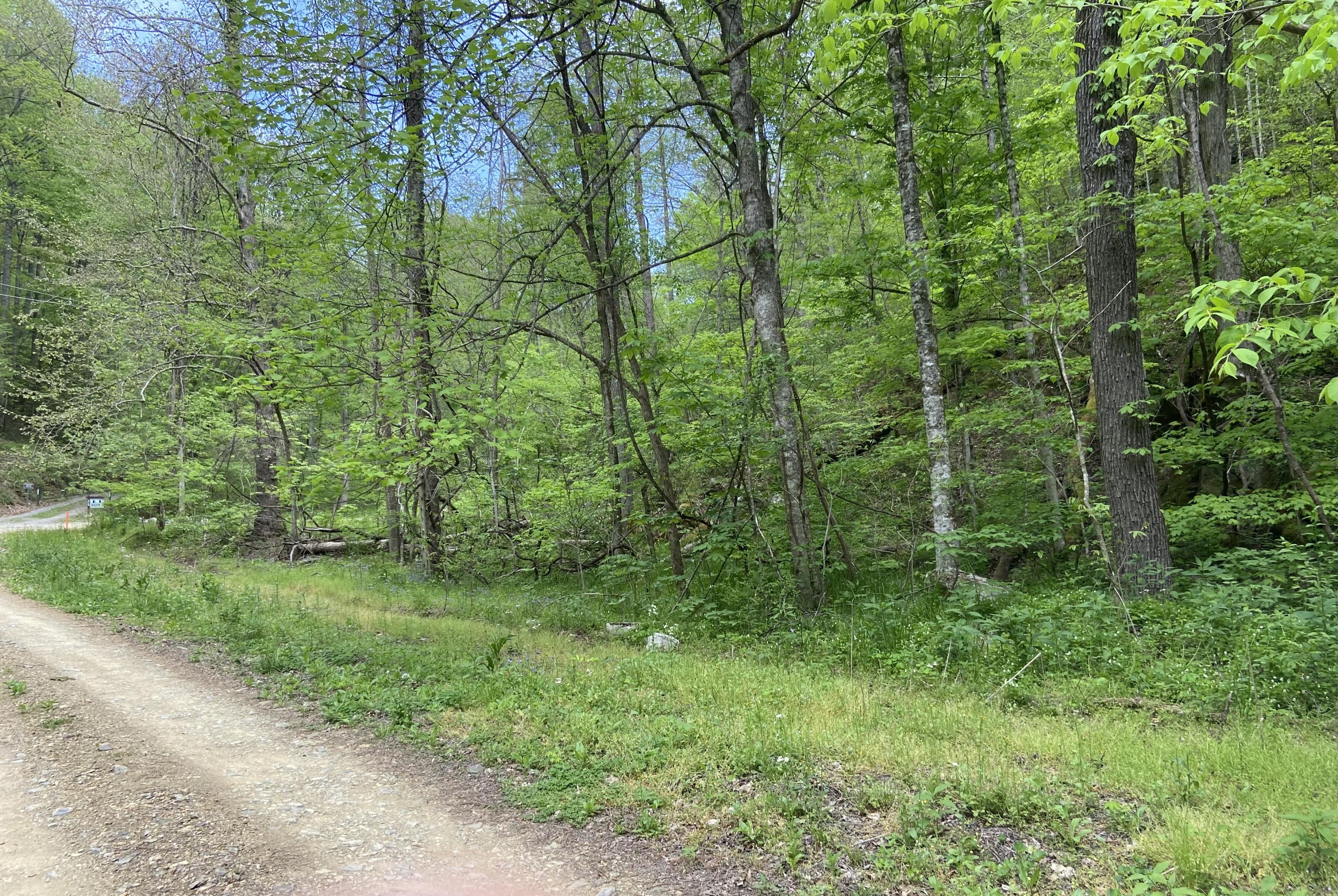 1046 Reagan Springs Road Townsend, TN 37882 - Photo 1 of 5 IMG_4156