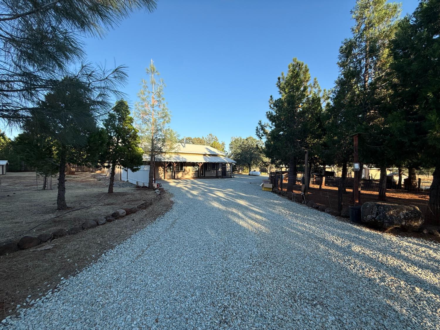 5000 Wilson Hill Road Manton, CA 96059 - Photo 3 of 63