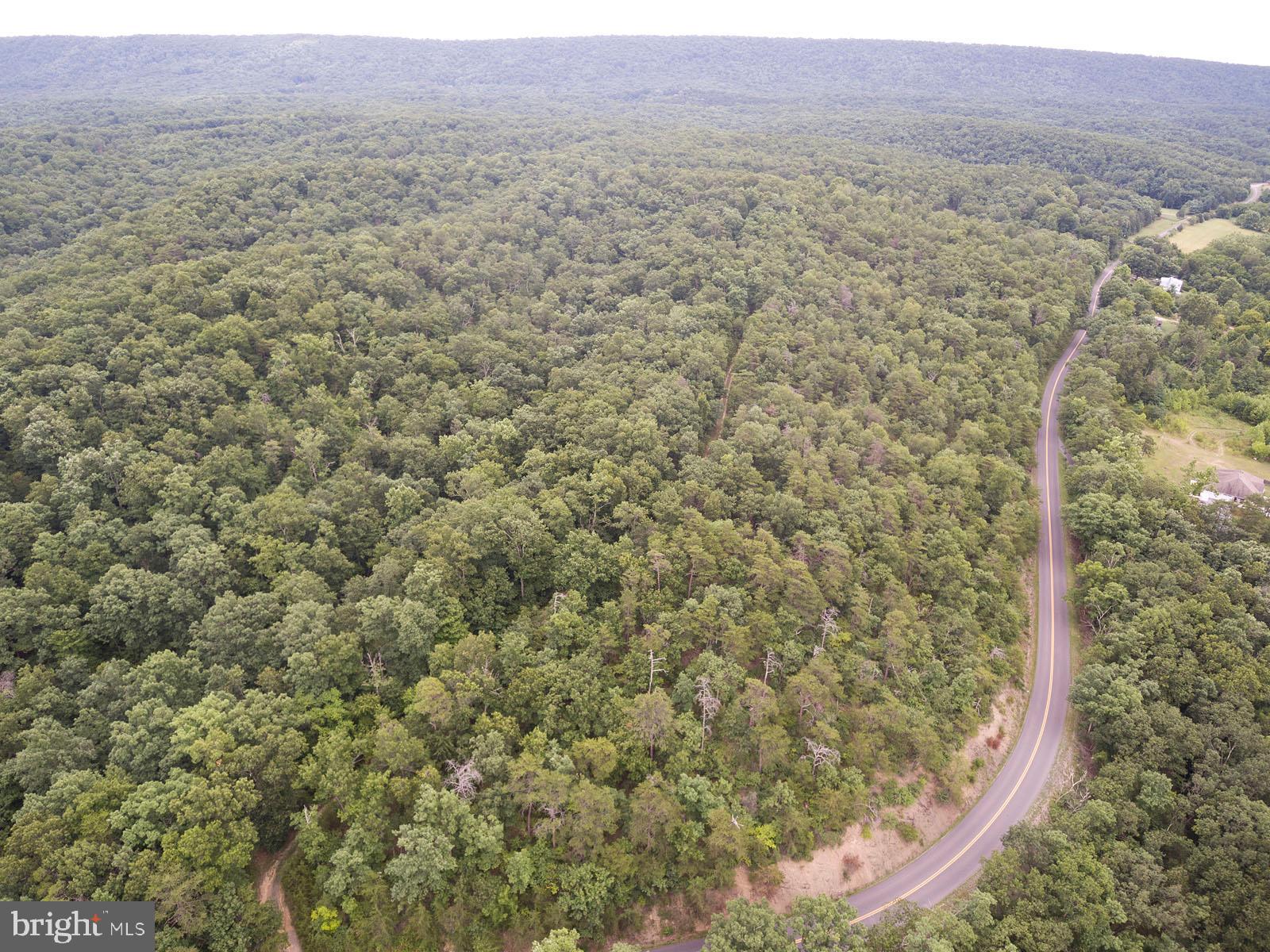 Green Spring Road Winchester, VA 22603 - Photo 1 of 27 Acreage off of Green Spring Road