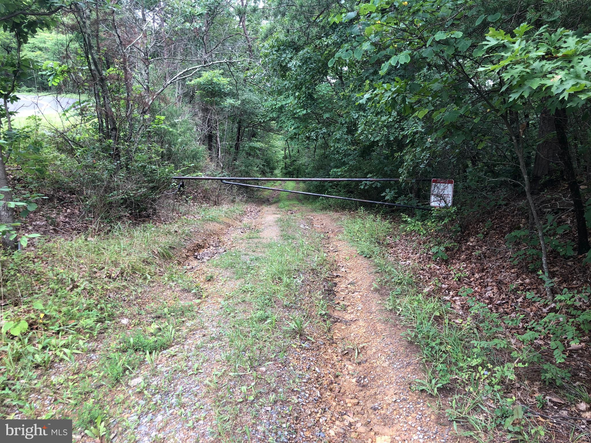 Green Spring Road Winchester, VA 22603 - Photo 21 of 27 Roadway leading to cabin