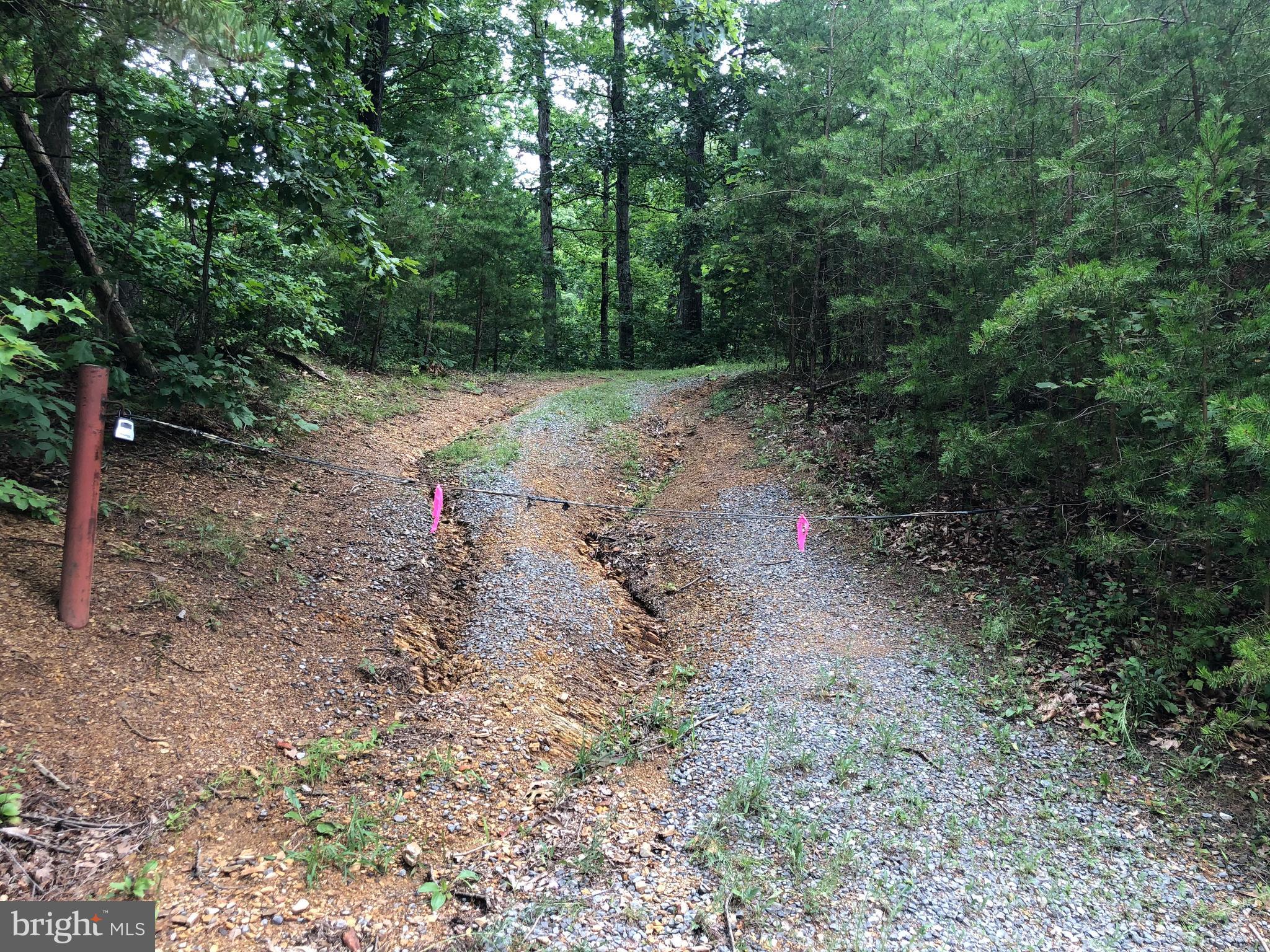 Green Spring Road Winchester, VA 22603 - Photo 22 of 27 Roadway to walk acreage