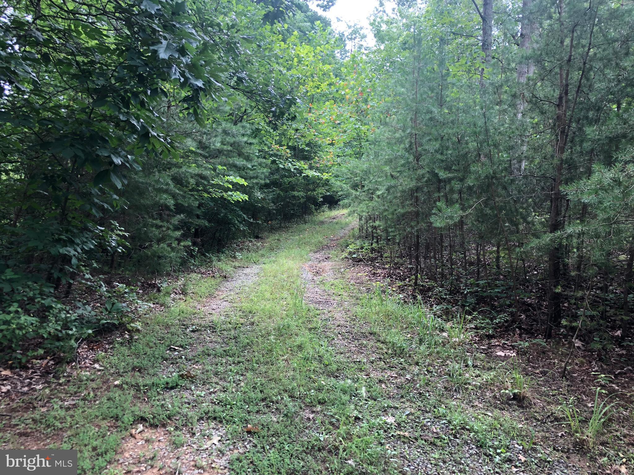 Green Spring Road Winchester, VA 22603 - Photo 23 of 27 Take a walk in the woods
