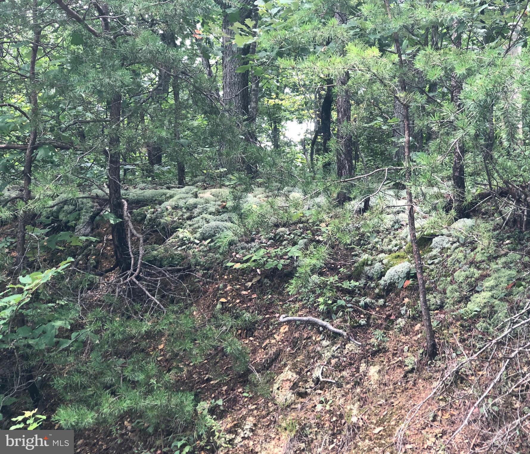 Green Spring Road Winchester, VA 22603 - Photo 25 of 27