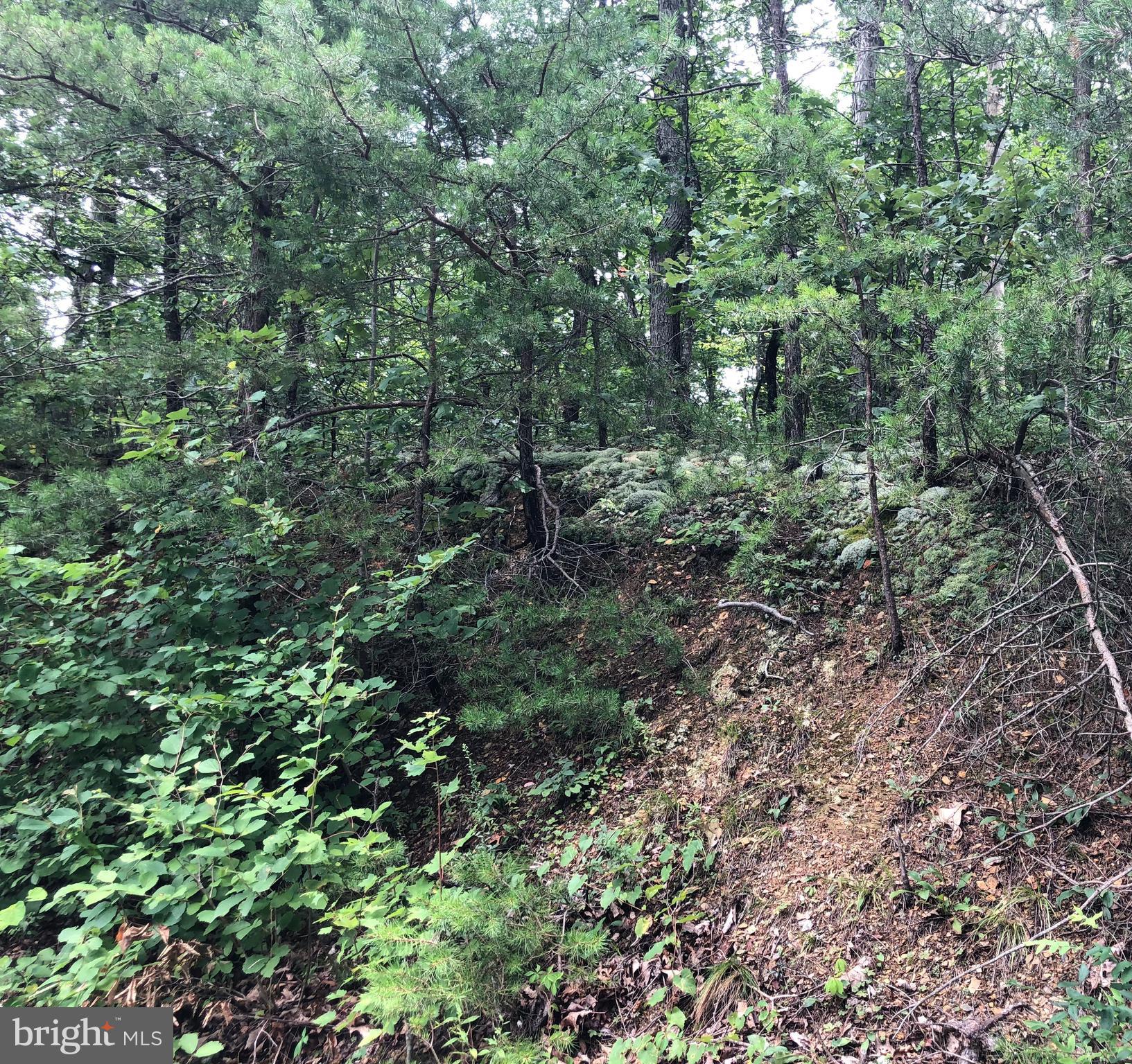 Green Spring Road Winchester, VA 22603 - Photo 26 of 27