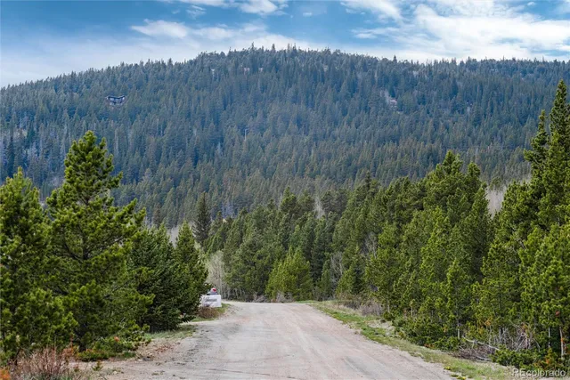 $230,000 | 192 Little Creek Road, Idaho Springs, CO 80452