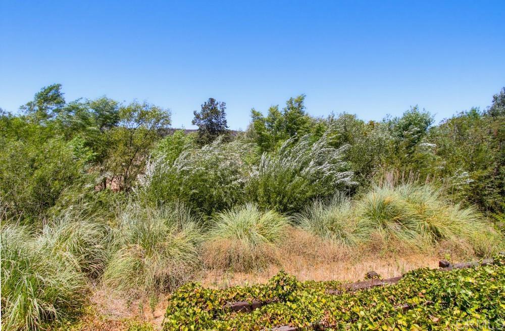 31122 Old River Road Bonsall, CA 92003 - Photo 49 of 51 Gallery Image 49