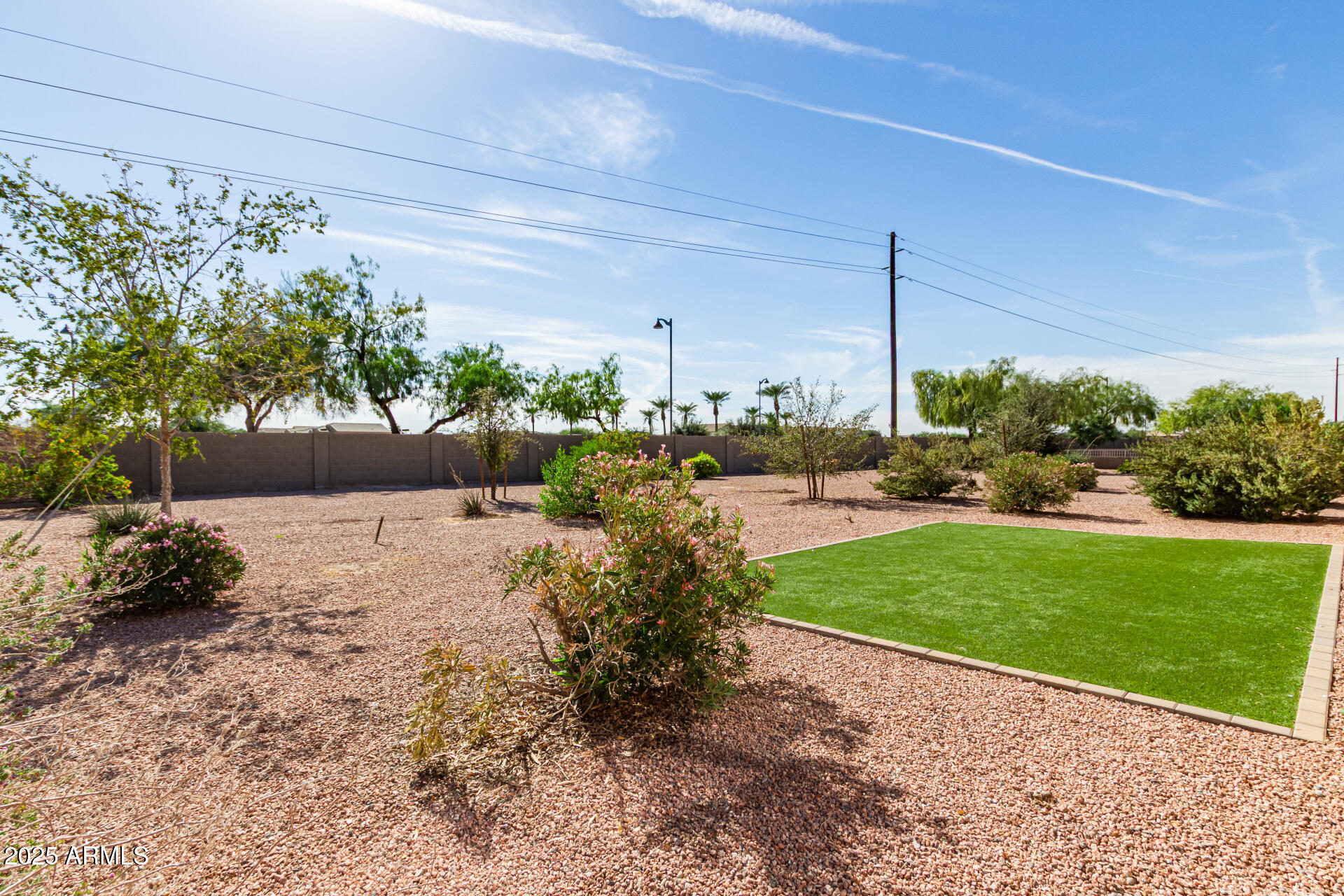 42851 West Mallard Road Maricopa, AZ 85138 - Photo 40 of 45 a view of a garden with an outdoor space