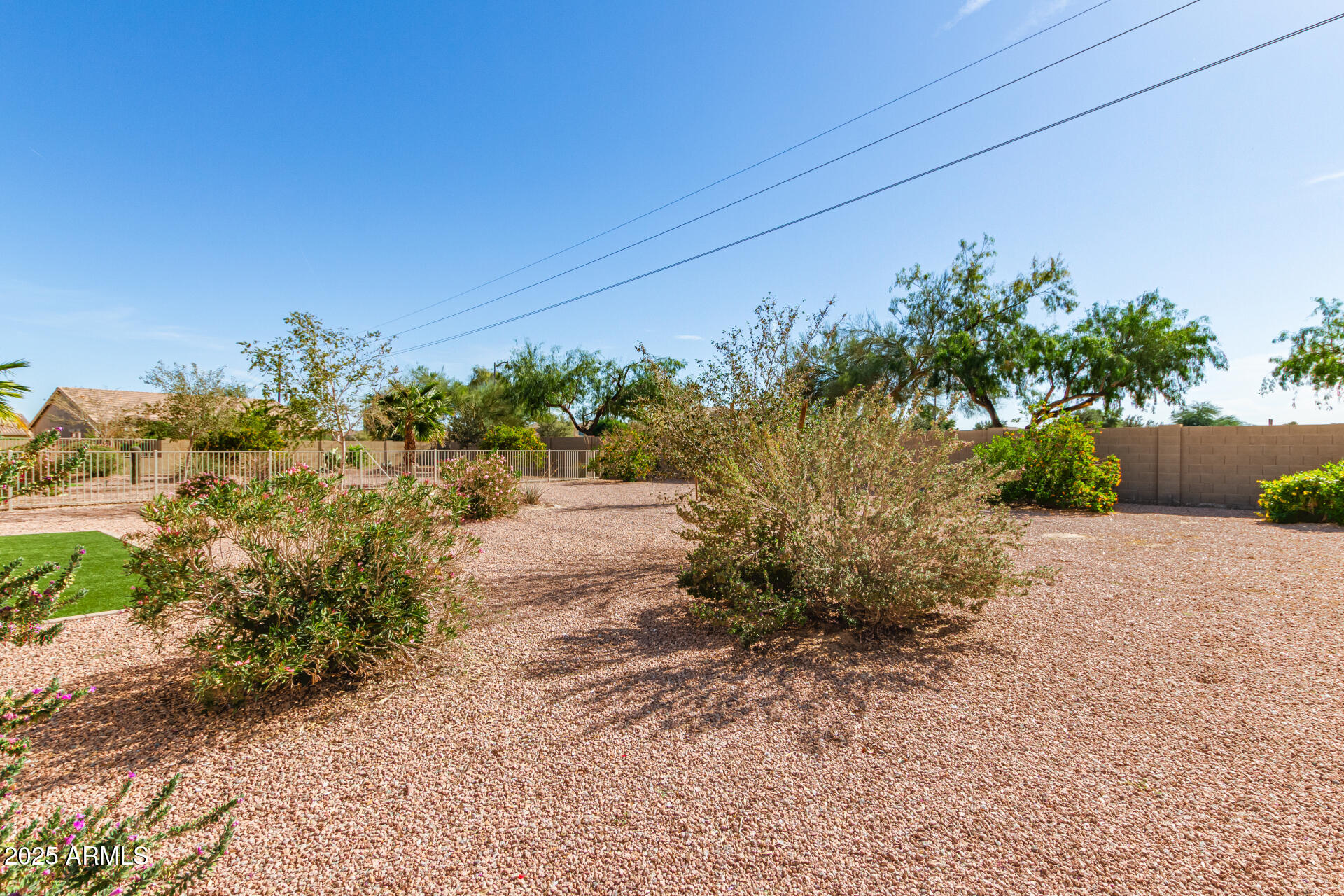 42851 West Mallard Road Maricopa, AZ 85138 - Photo 45 of 45 a big yard with lots of green space