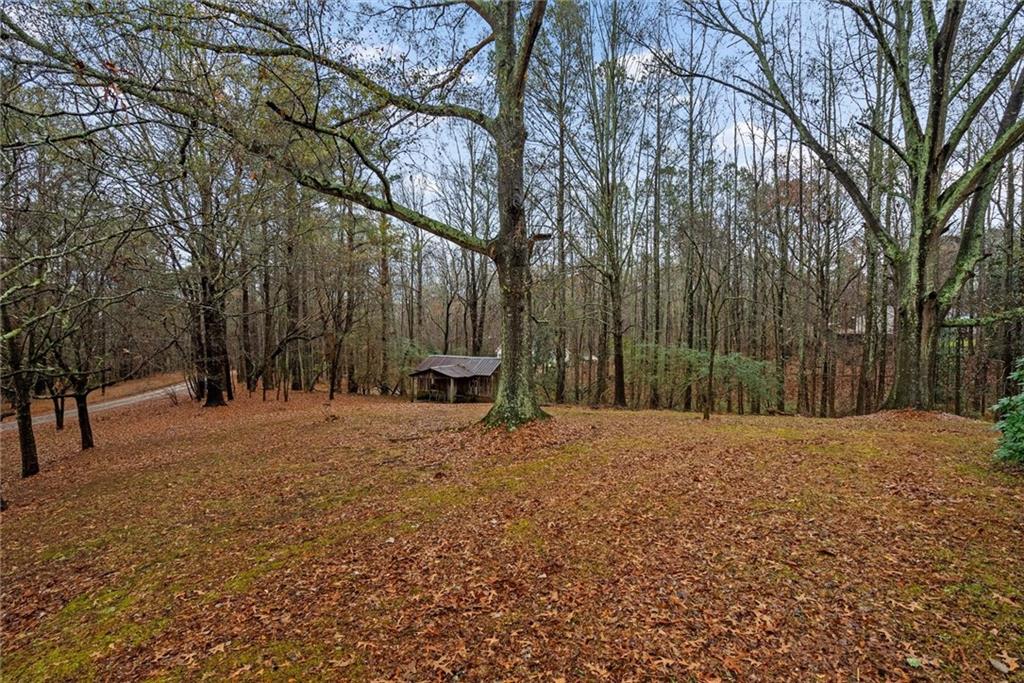 101 3rd Avenue Buchanan, GA 30113 - Photo 24 of 35