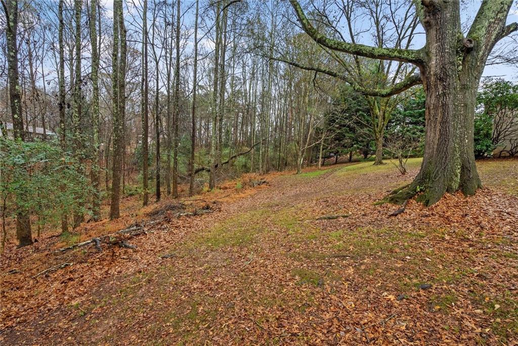 101 3rd Avenue Buchanan, GA 30113 - Photo 29 of 35